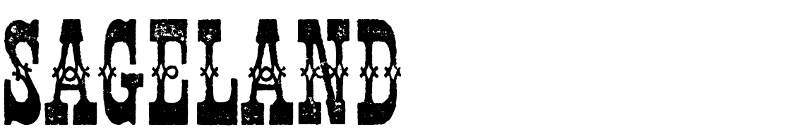 Whenever I look at this font I think of barbed wire across endless plains . . .